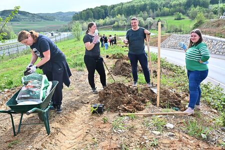 Ob dnevu zemlje sadili lipe (3)